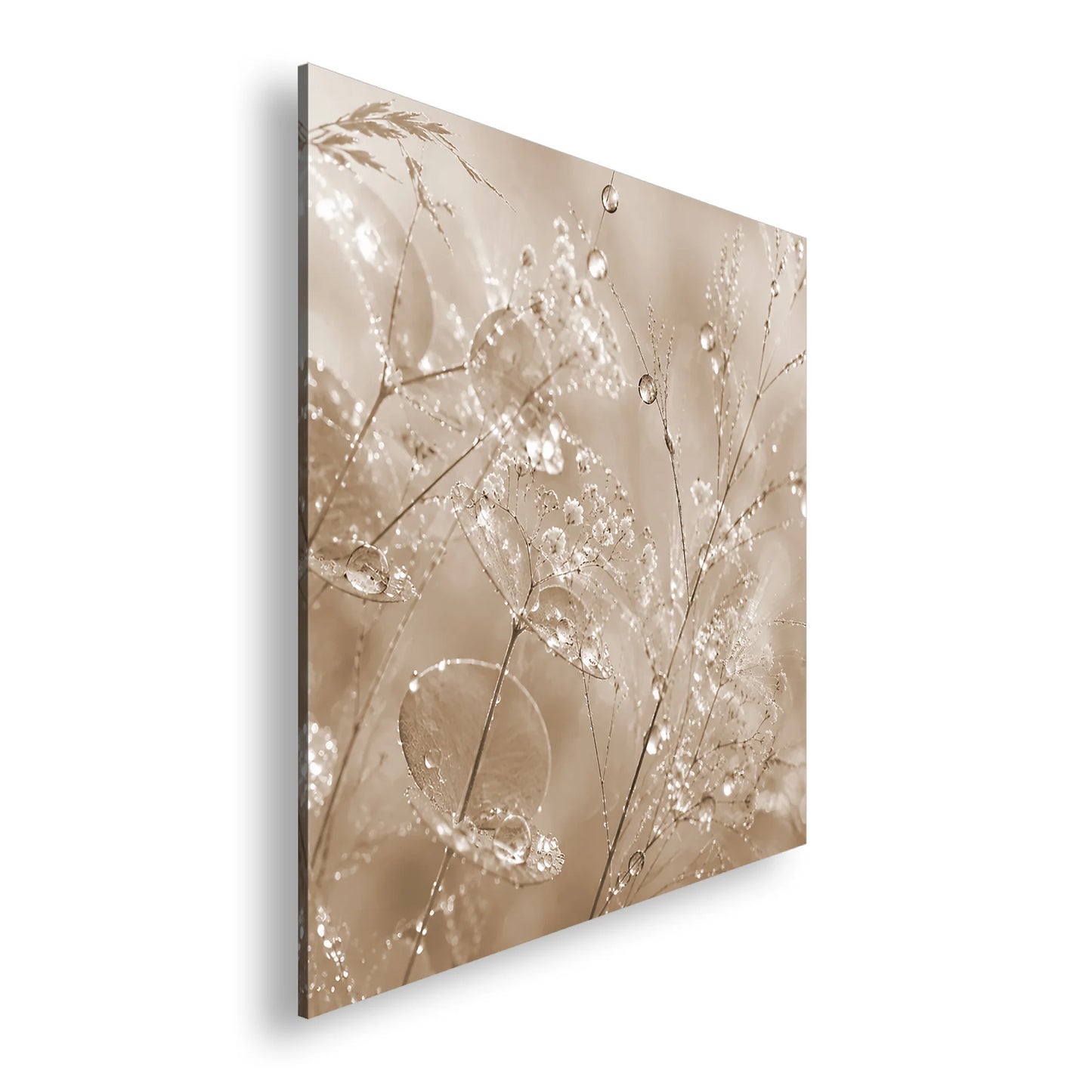 Hauptbild Sepia Quadratisch