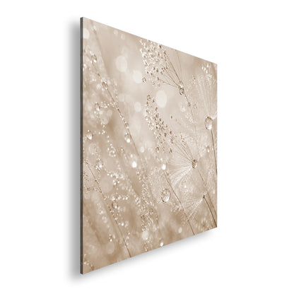 Hauptbild Sepia Quadratisch