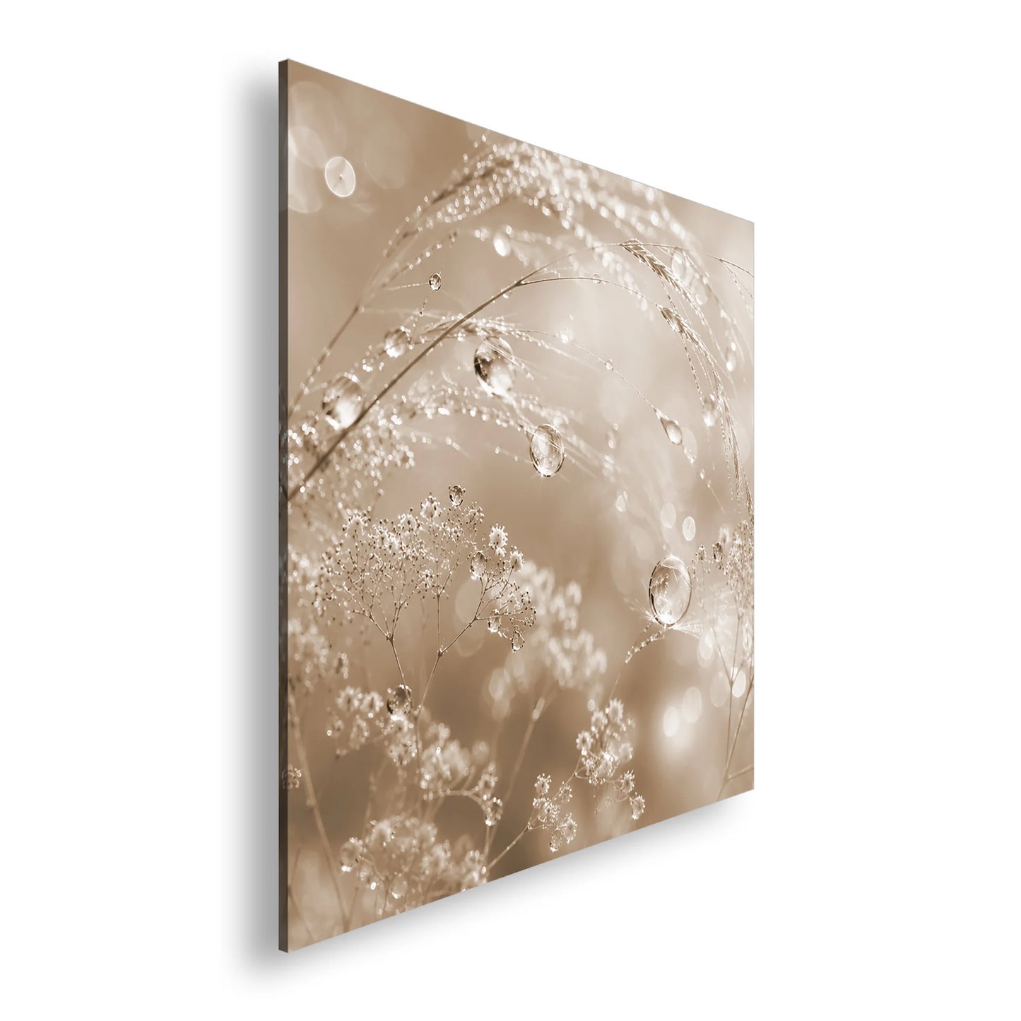 Hauptbild Sepia Quadratisch