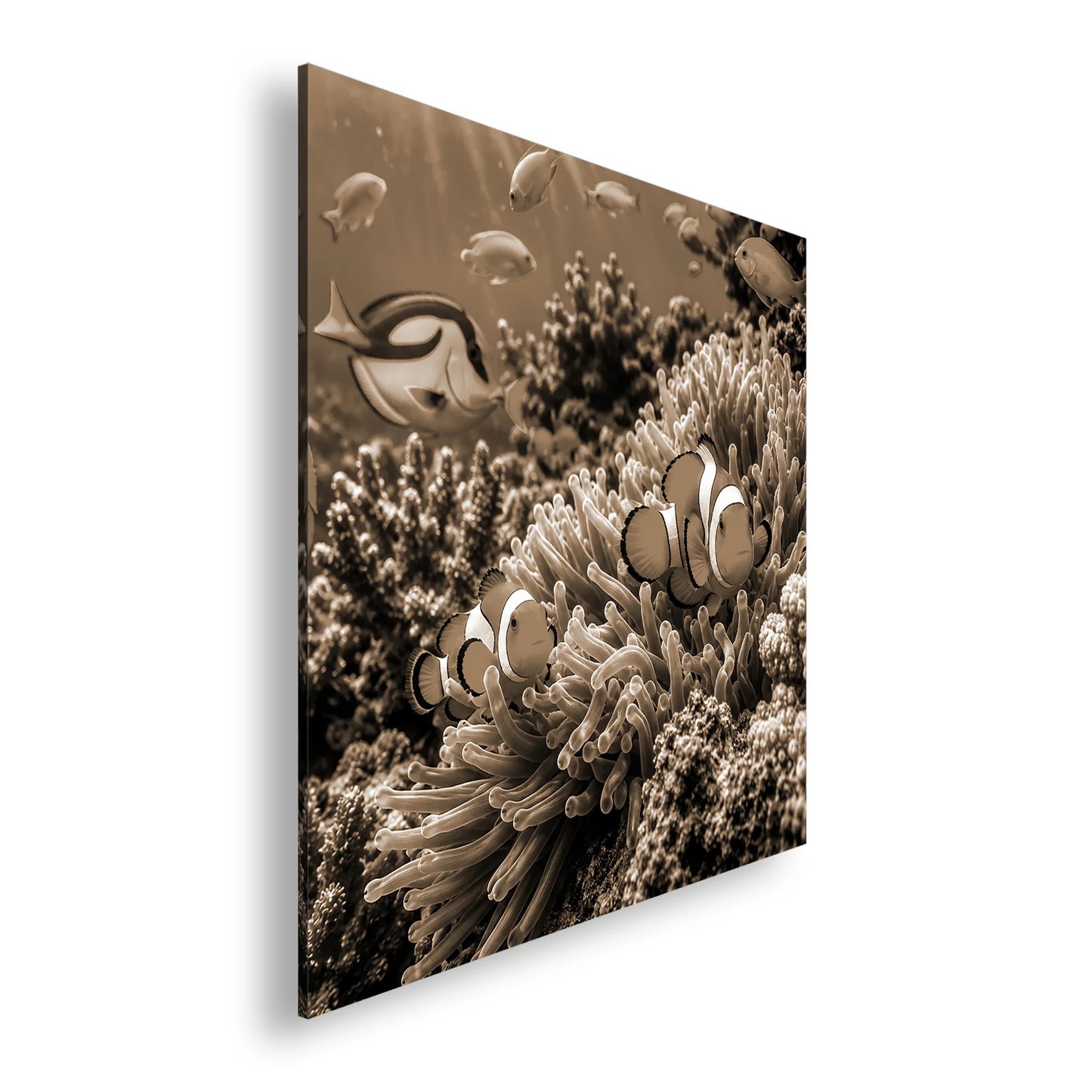 Hauptbild Sepia Quadratisch