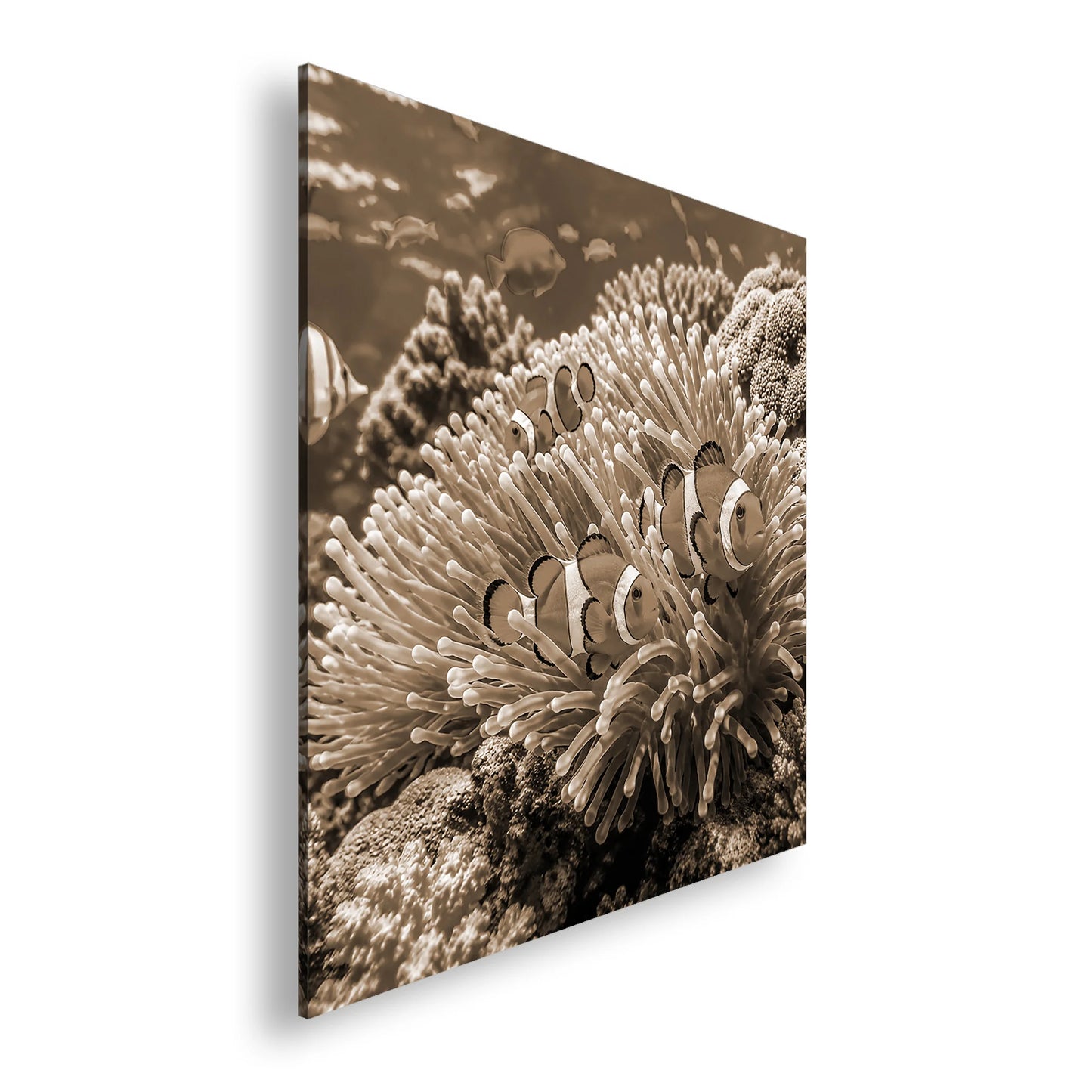 Hauptbild Sepia Quadratisch