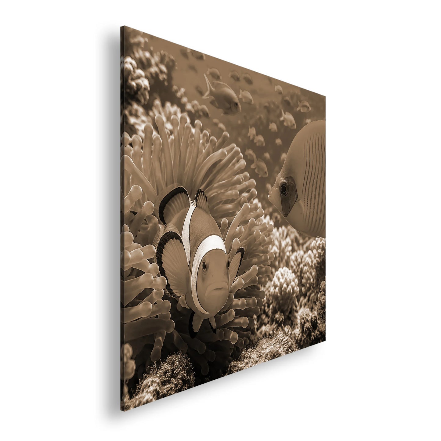 Hauptbild Sepia Quadratisch