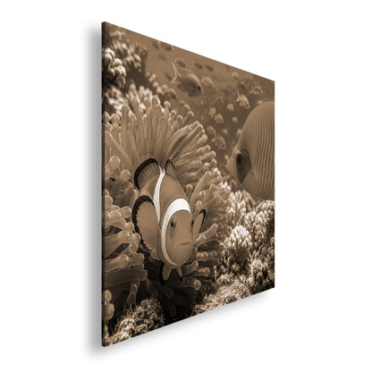 Hauptbild Sepia Quadratisch