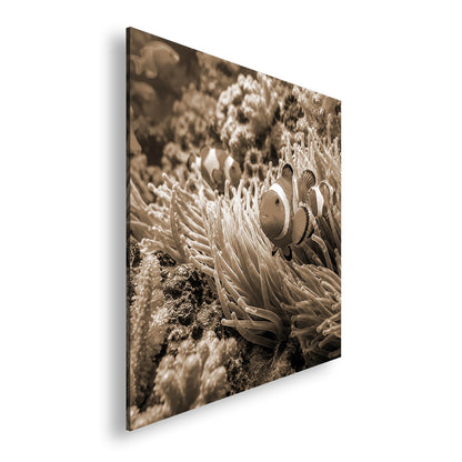 Hauptbild Sepia Quadratisch
