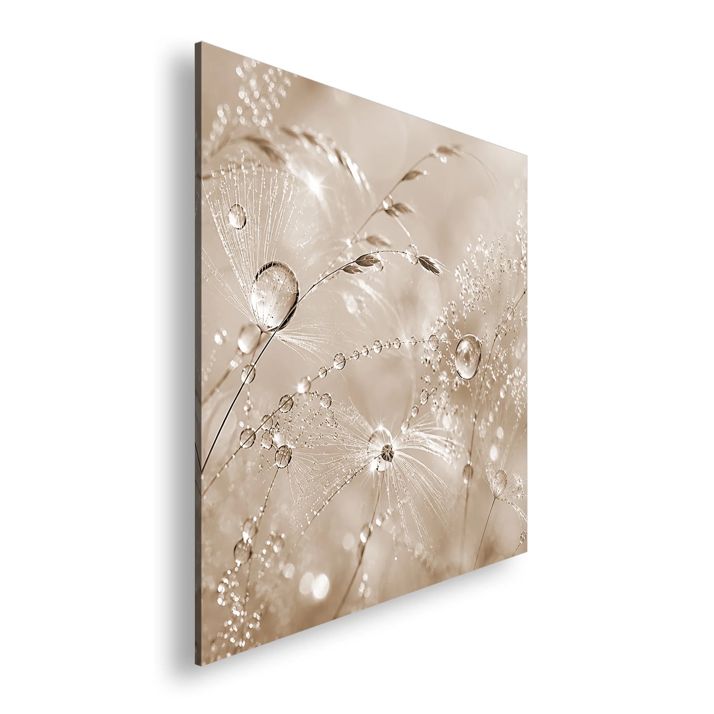 Hauptbild Sepia Quadratisch