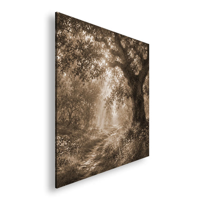 Hauptbild Sepia Quadratisch