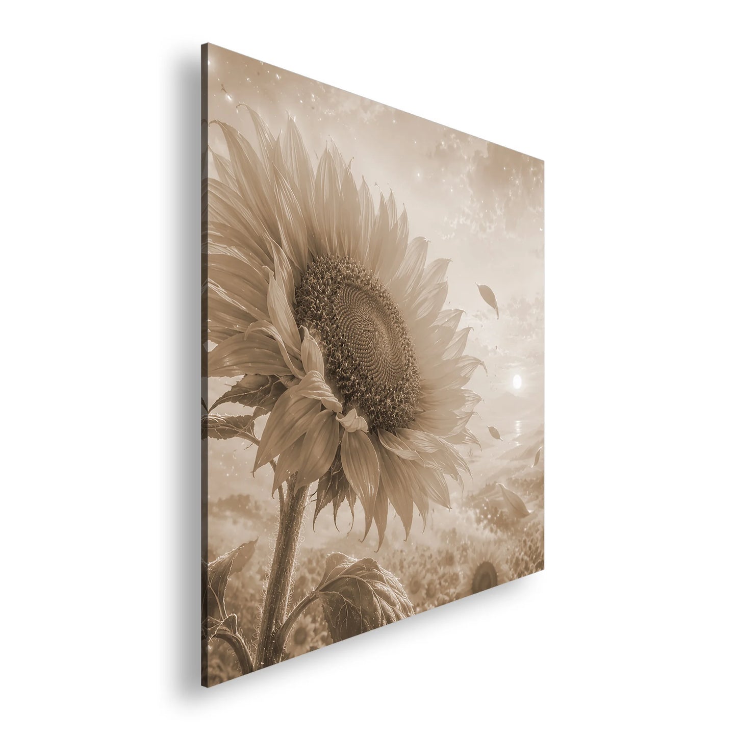 Hauptbild Sepia Quadratisch