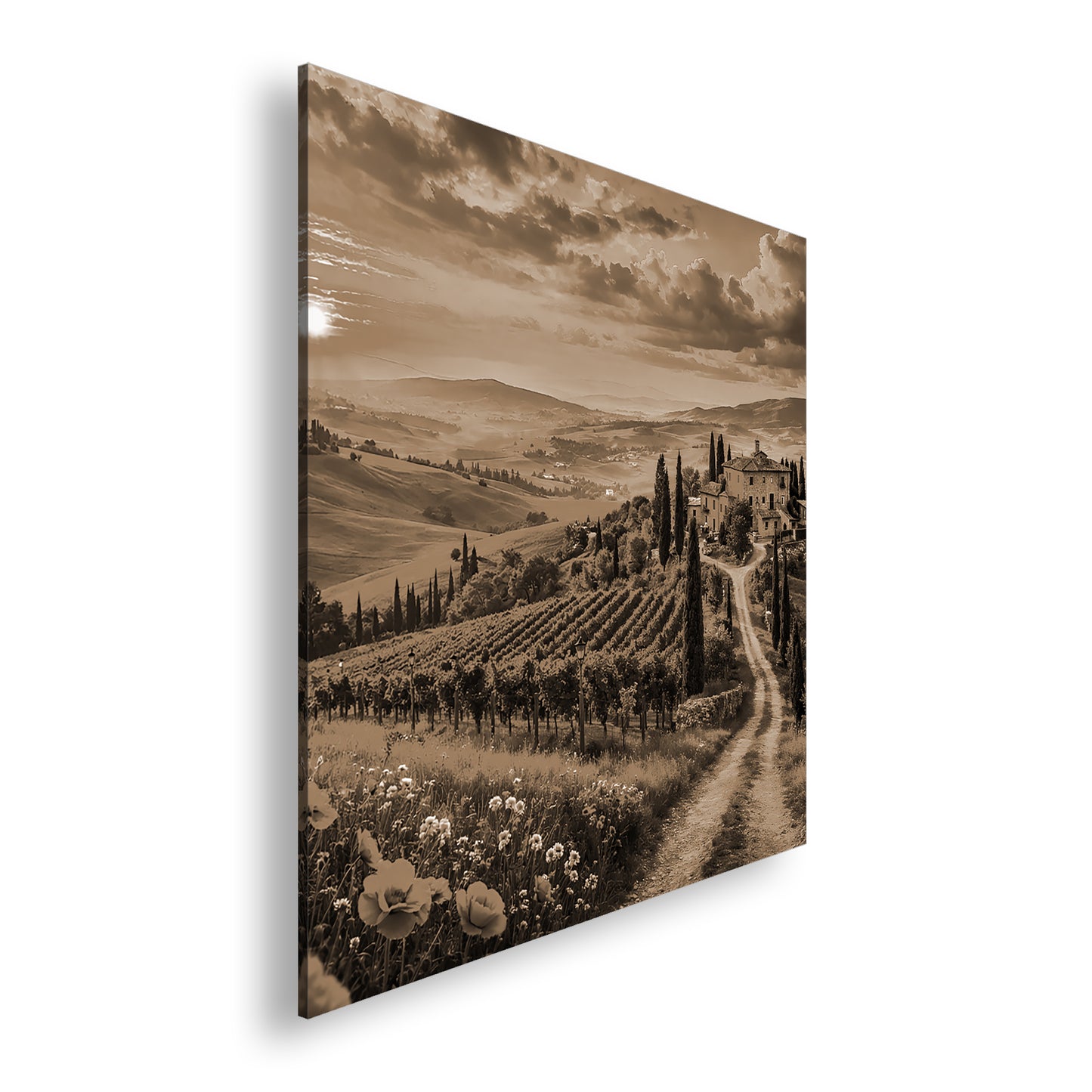 Hauptbild Sepia Quadratisch