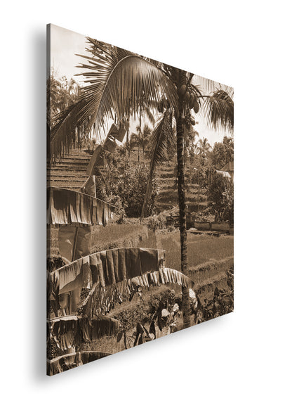 Hauptbild Sepia Quadratisch