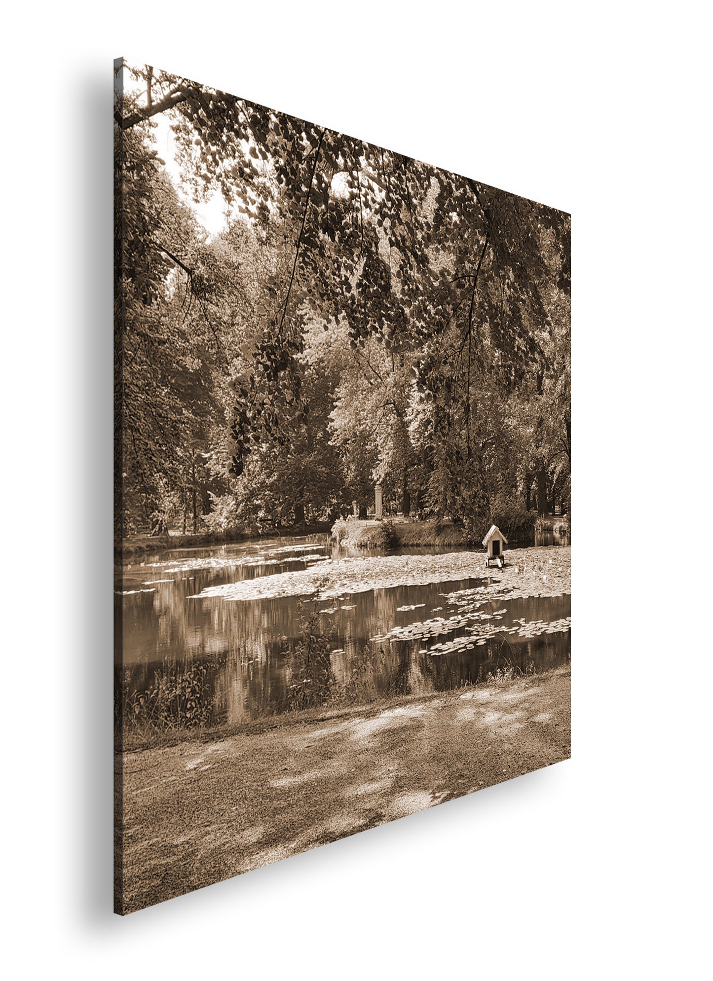 Hauptbild Sepia Quadratisch