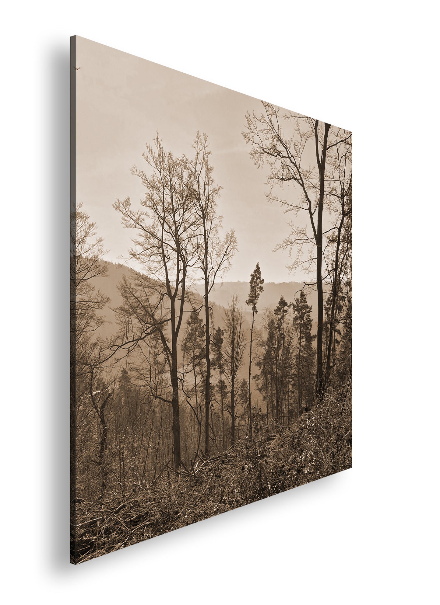 Hauptbild Sepia Quadratisch