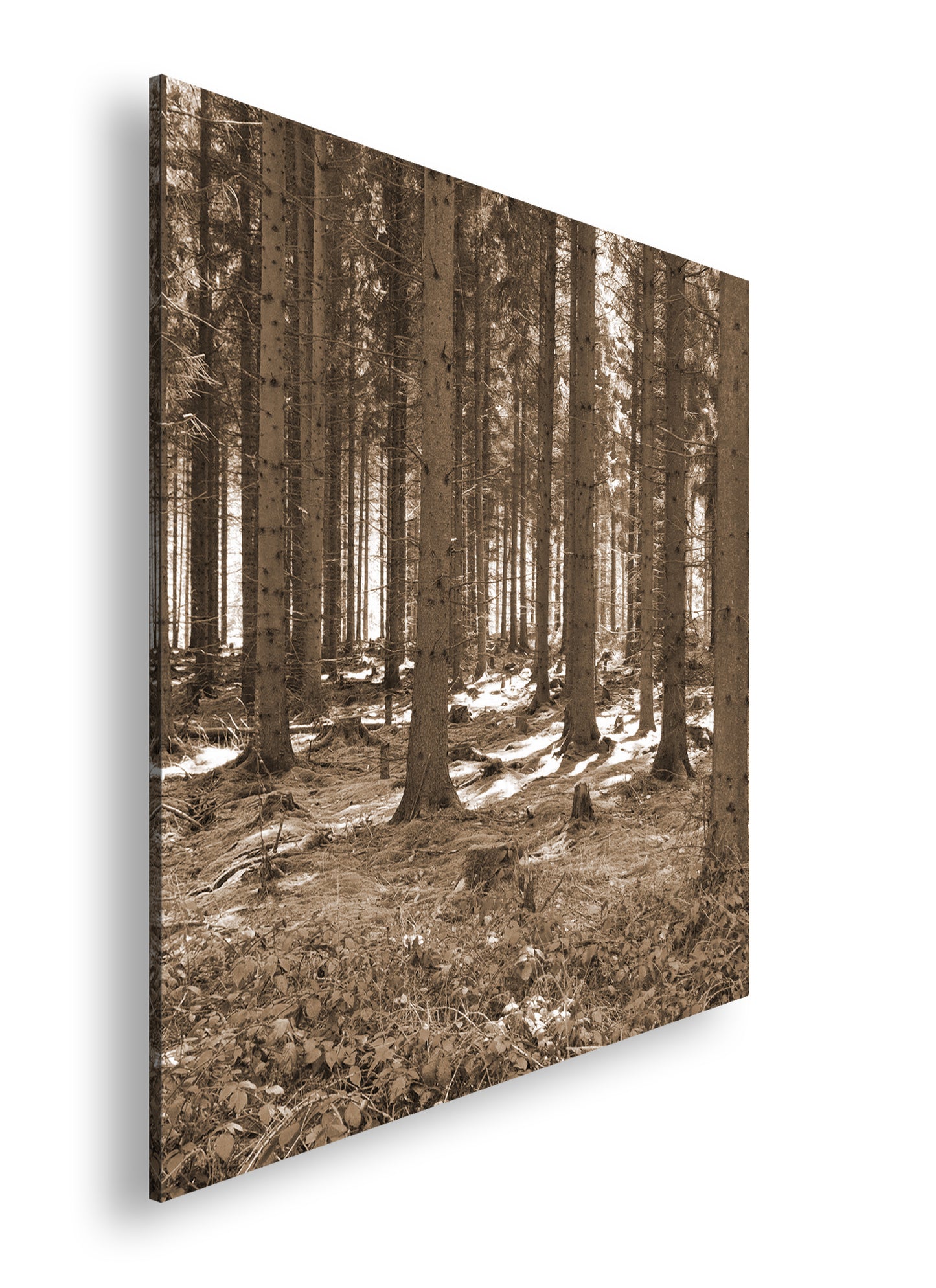 Hauptbild Sepia Quadratisch