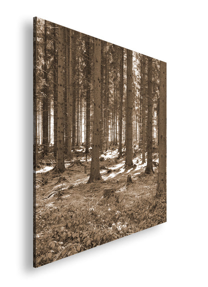 Hauptbild Sepia Quadratisch