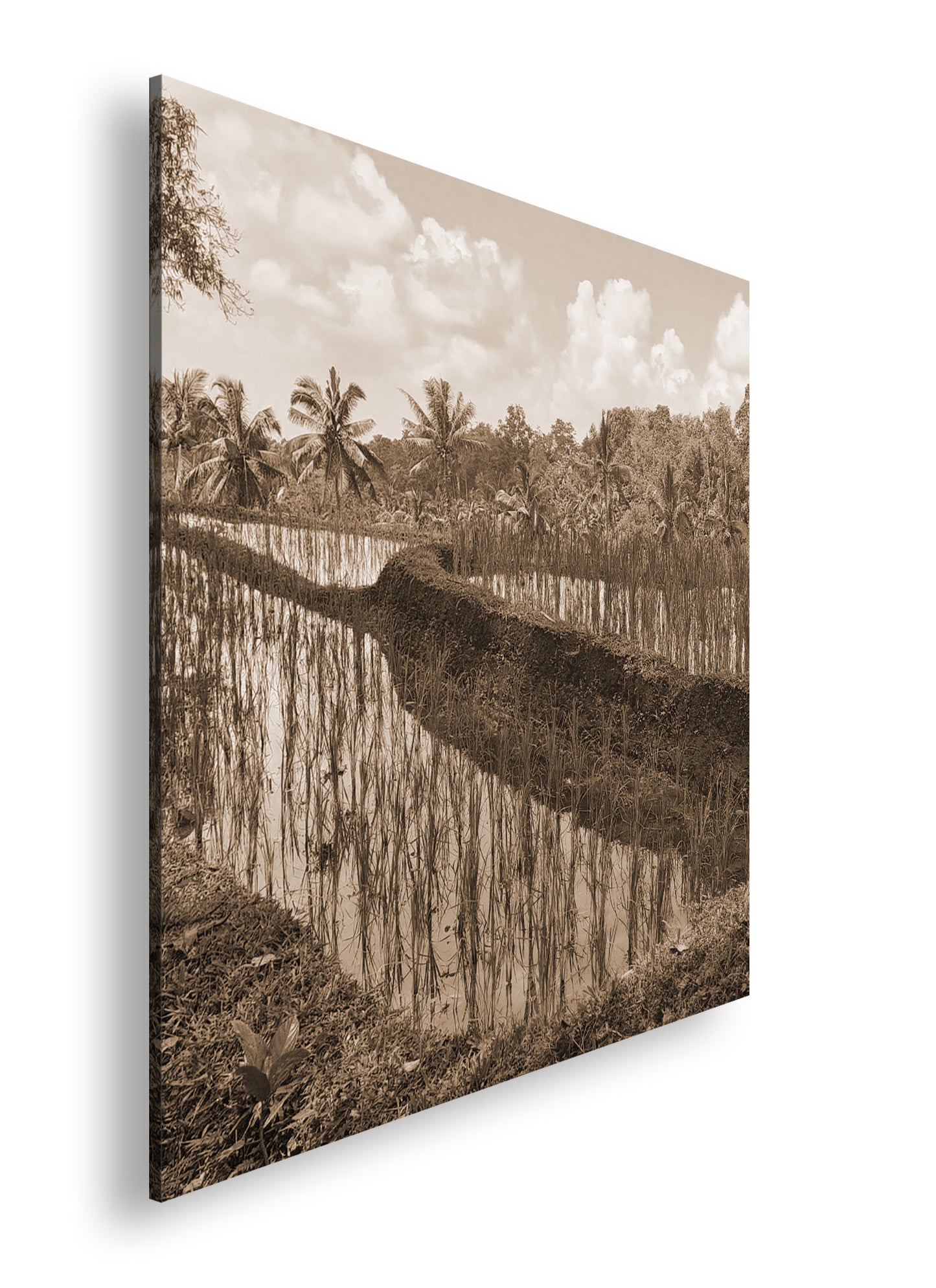 Hauptbild Sepia Quadratisch