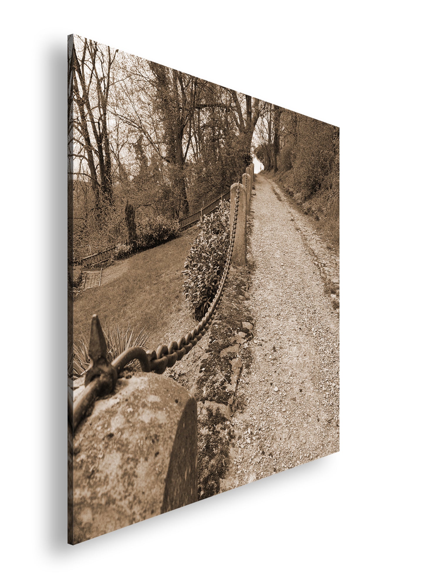 Hauptbild Sepia Quadratisch