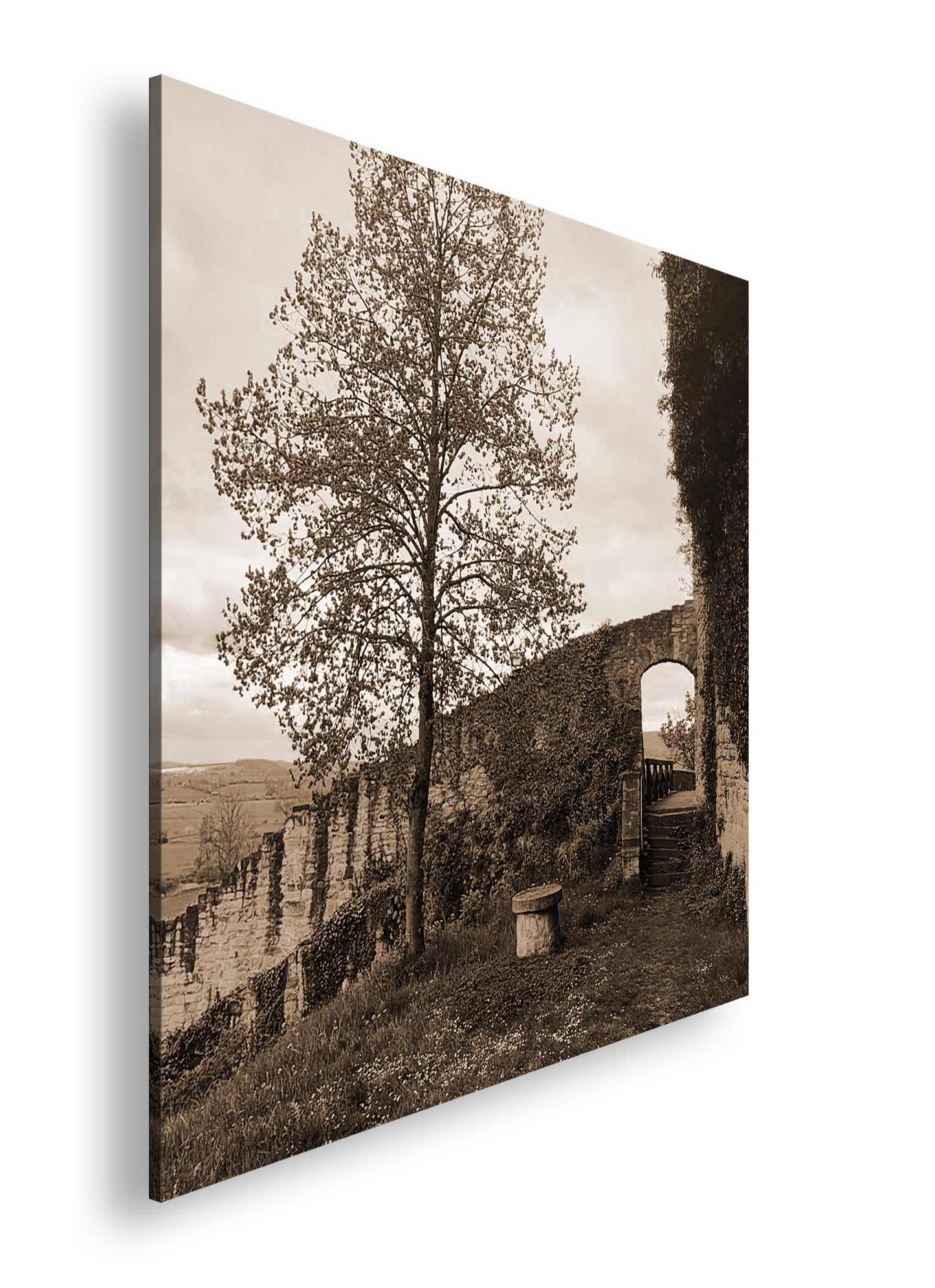 Hauptbild Sepia Quadratisch