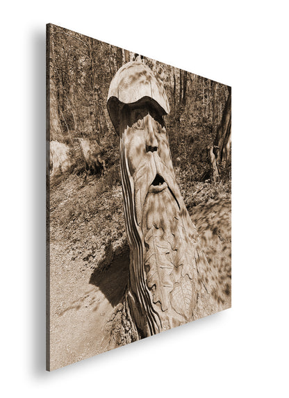 Hauptbild Sepia Quadratisch