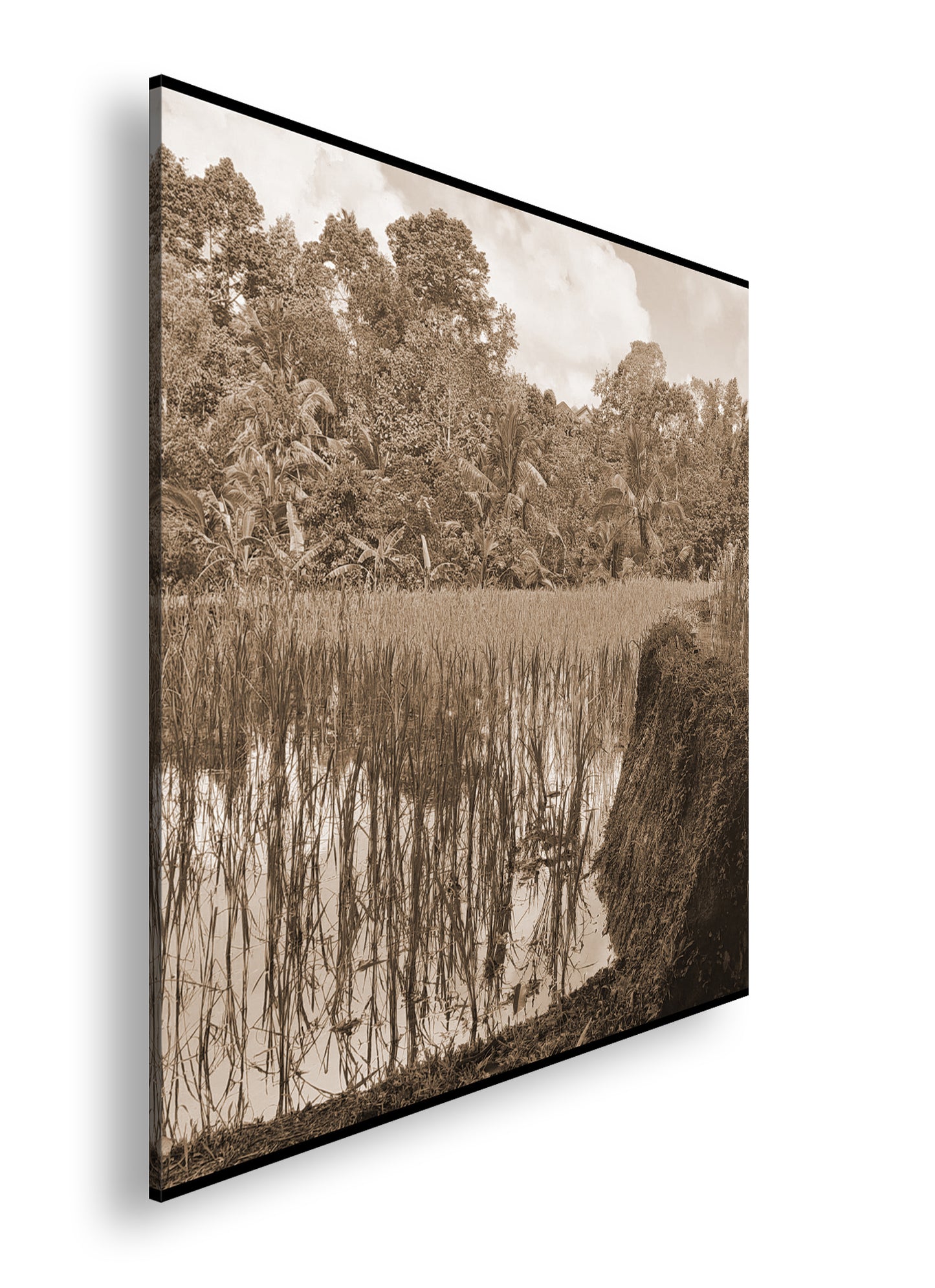 Hauptbild Sepia Quadratisch