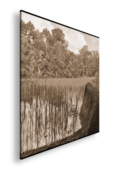 Hauptbild Sepia Quadratisch