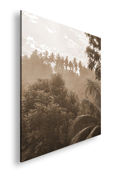 Hauptbild Sepia Quadratisch