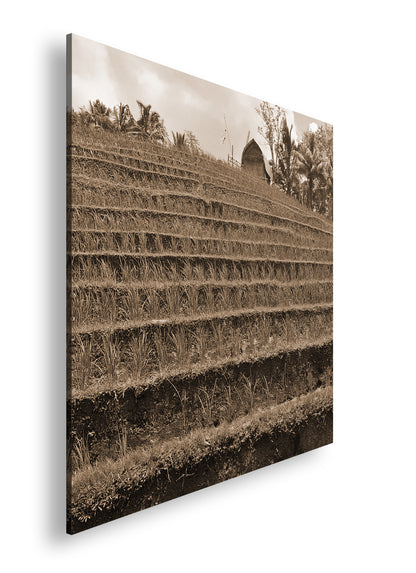 Hauptbild Sepia Quadratisch