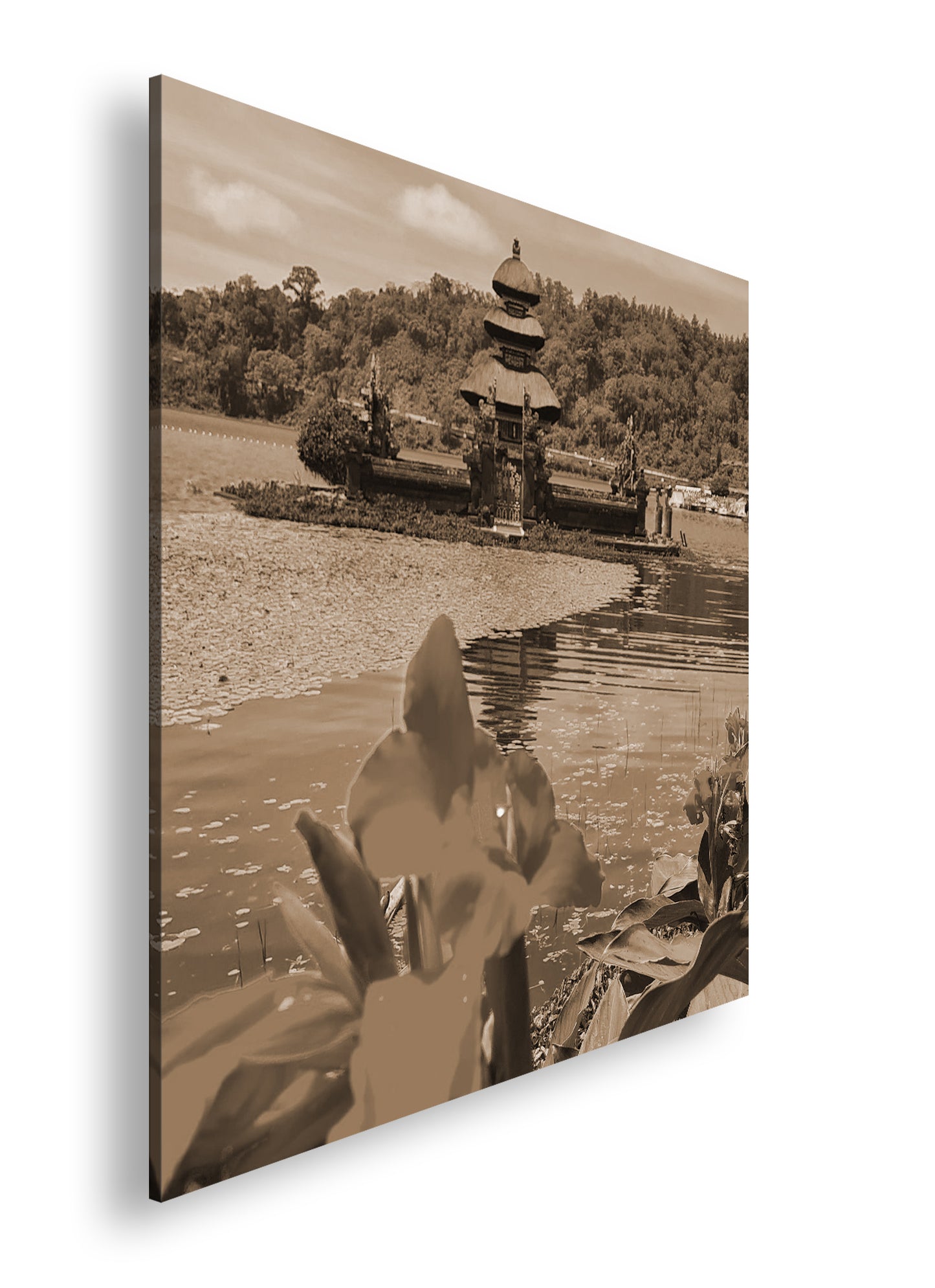 Hauptbild Sepia Quadratisch