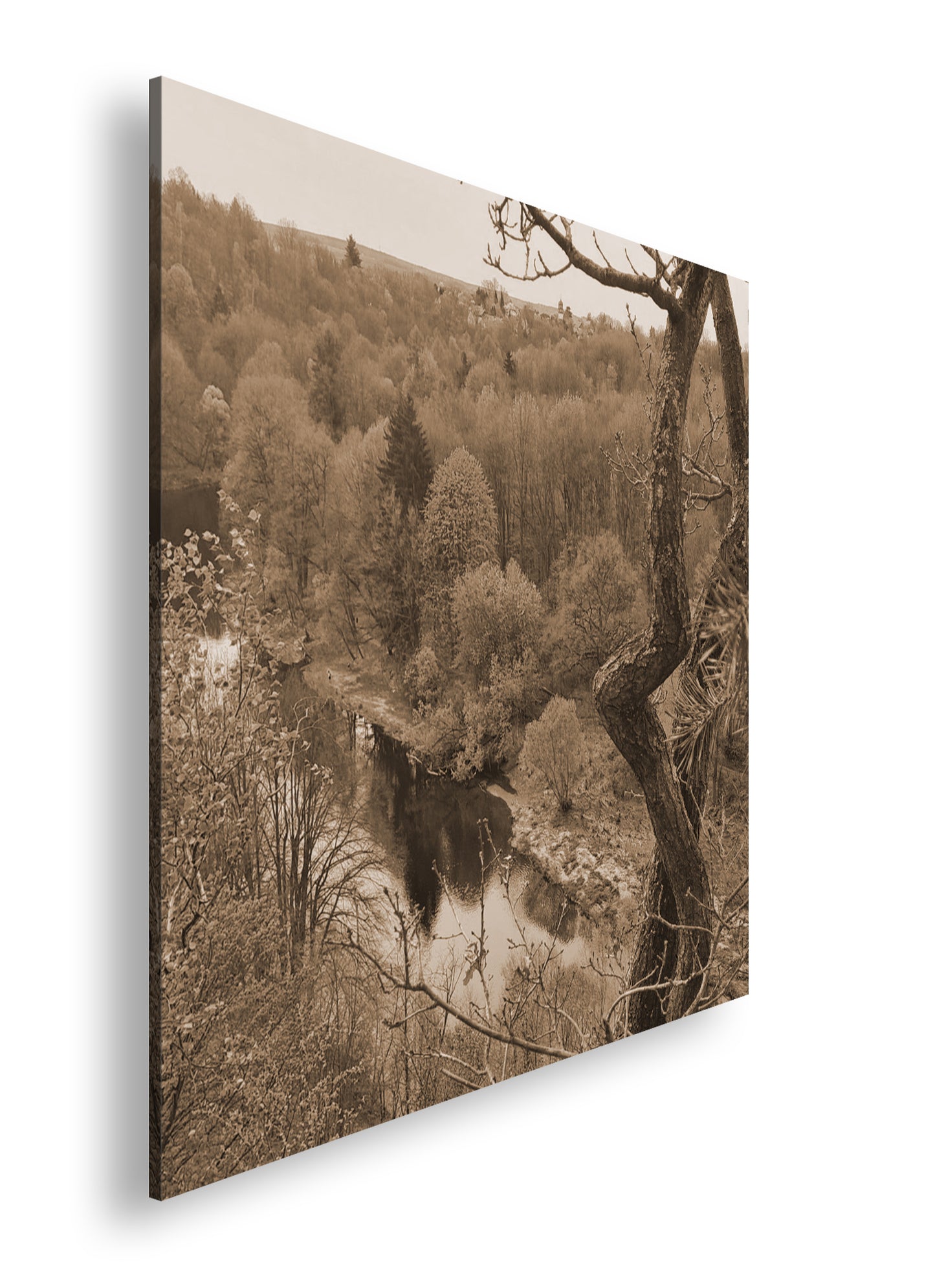 Hauptbild Sepia Quadratisch