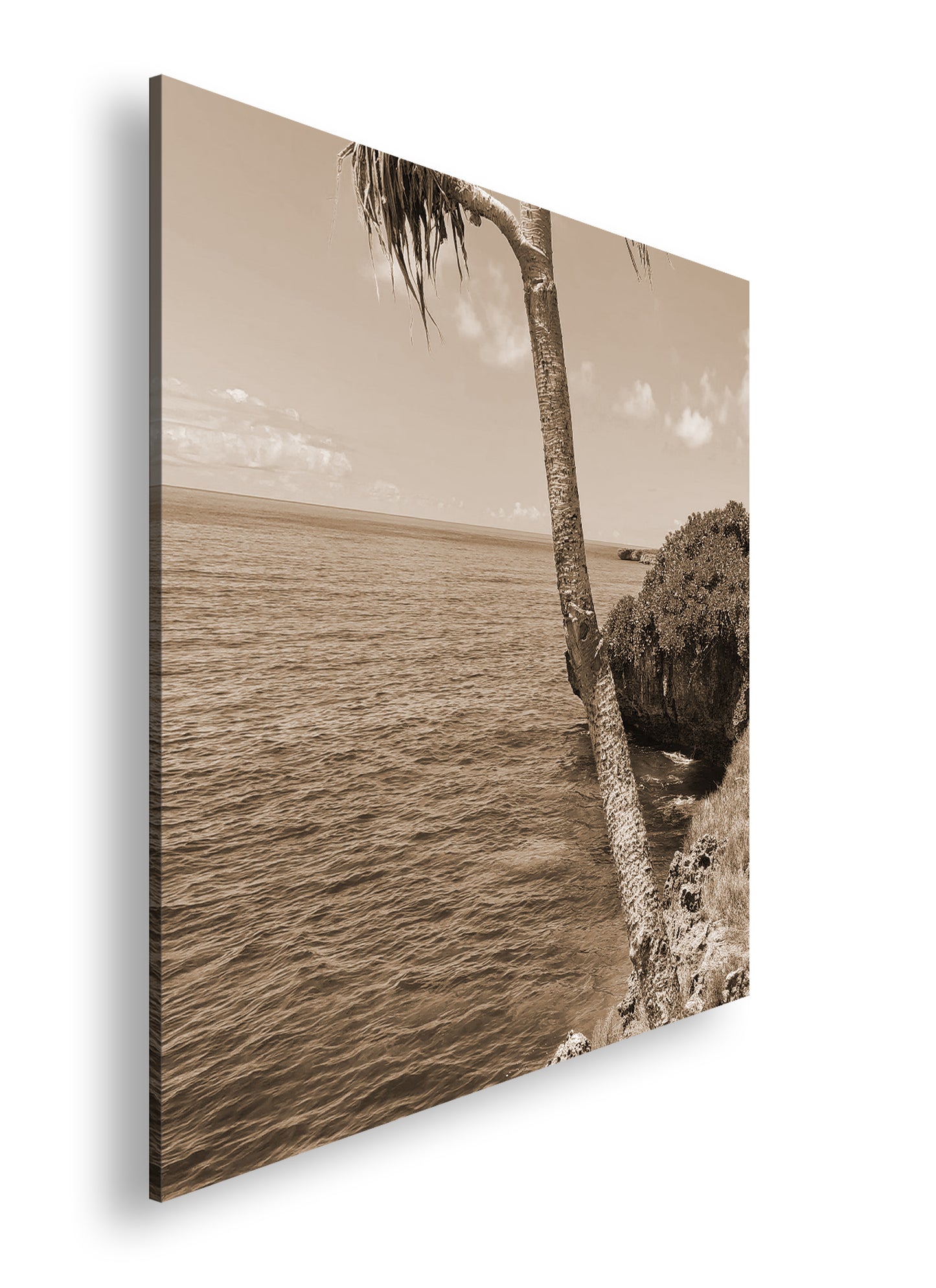 Hauptbild Sepia Quadratisch