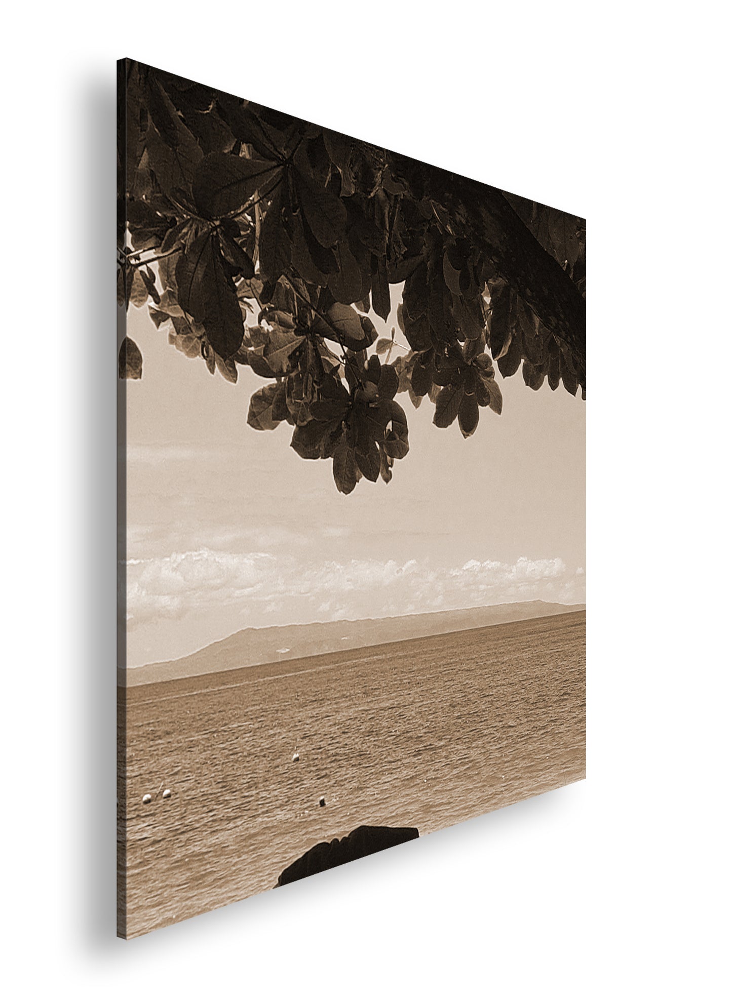 Hauptbild Sepia Quadratisch