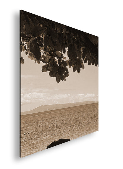 Hauptbild Sepia Quadratisch