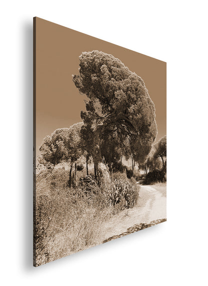 Hauptbild Sepia Quadratisch