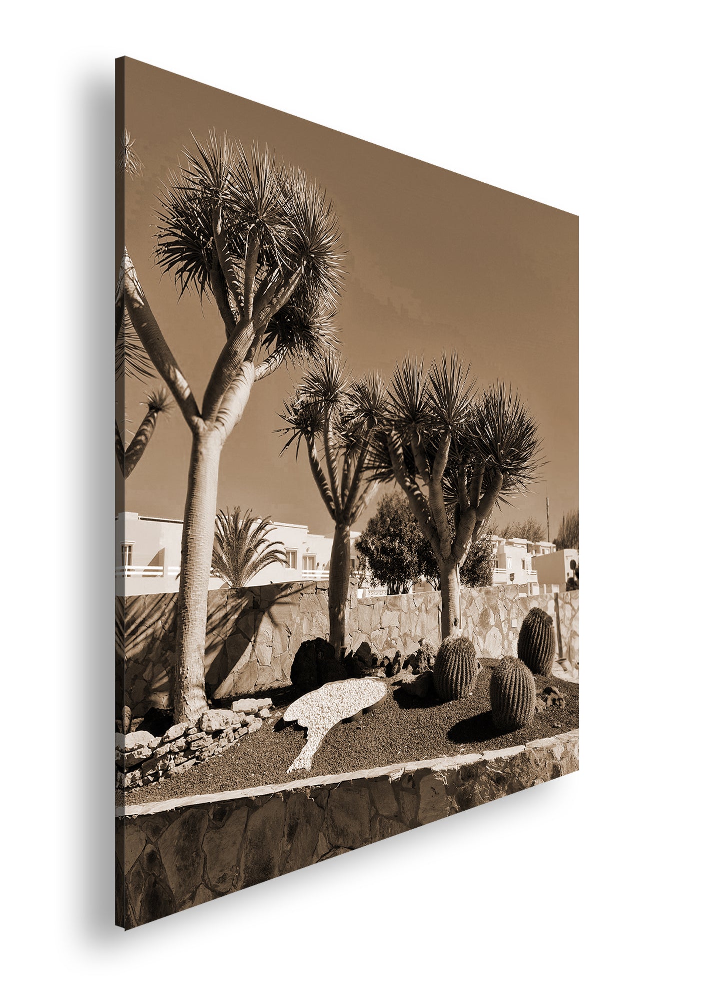 Hauptbild Sepia Quadratisch