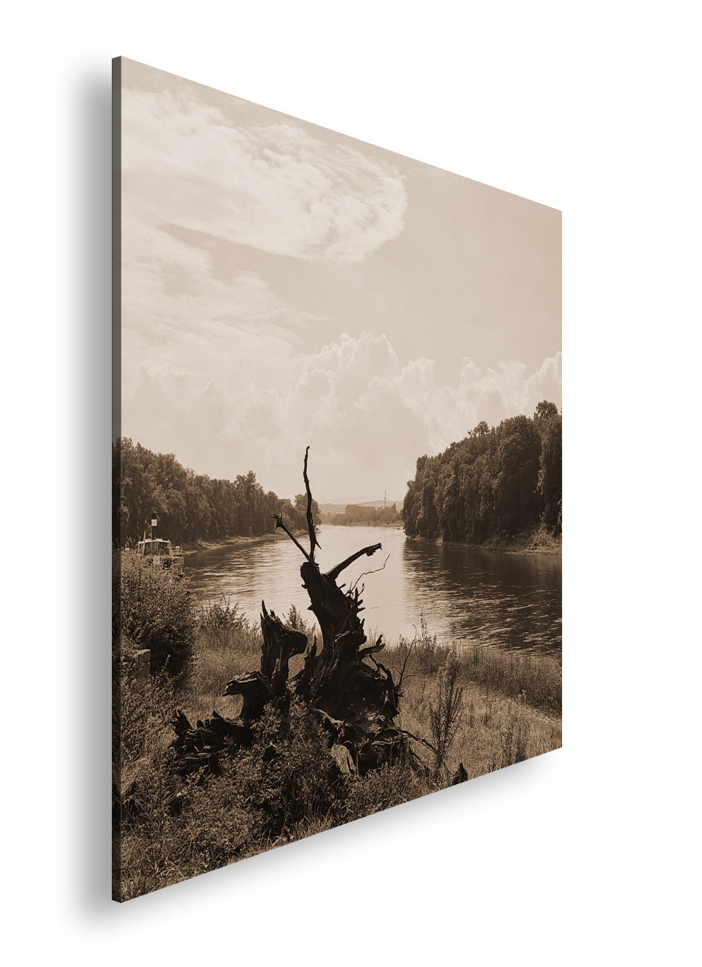 Hauptbild Sepia Quadratisch