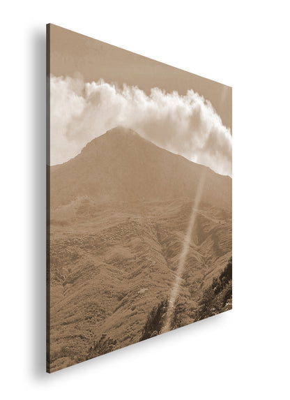 Hauptbild Sepia Quadratisch