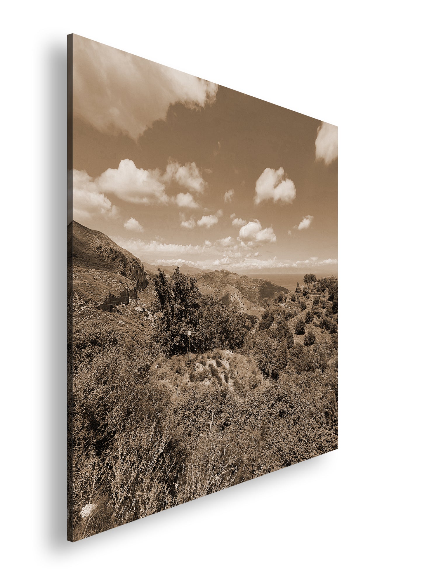 Hauptbild Sepia Quadratisch