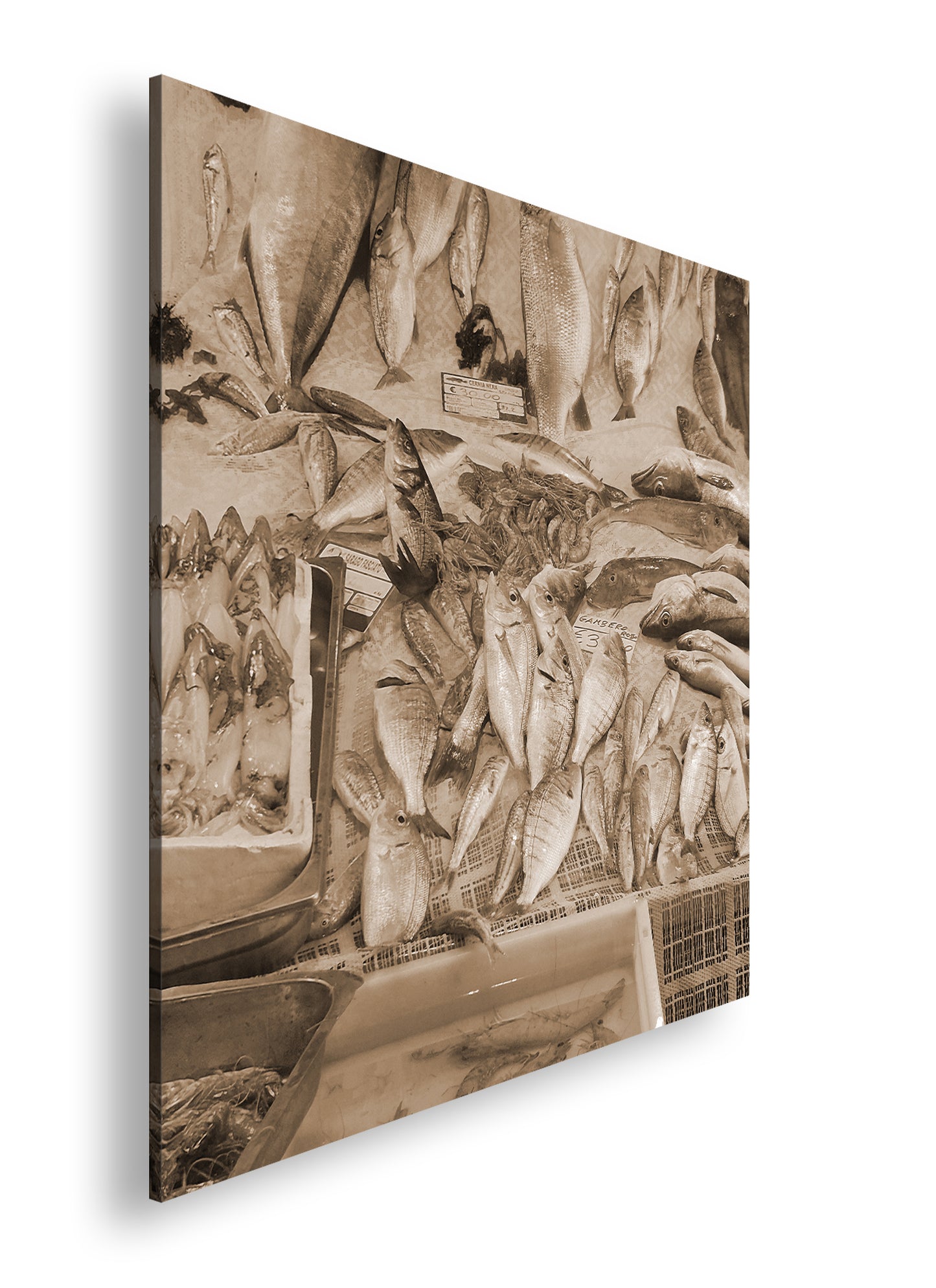 Hauptbild Sepia Quadratisch