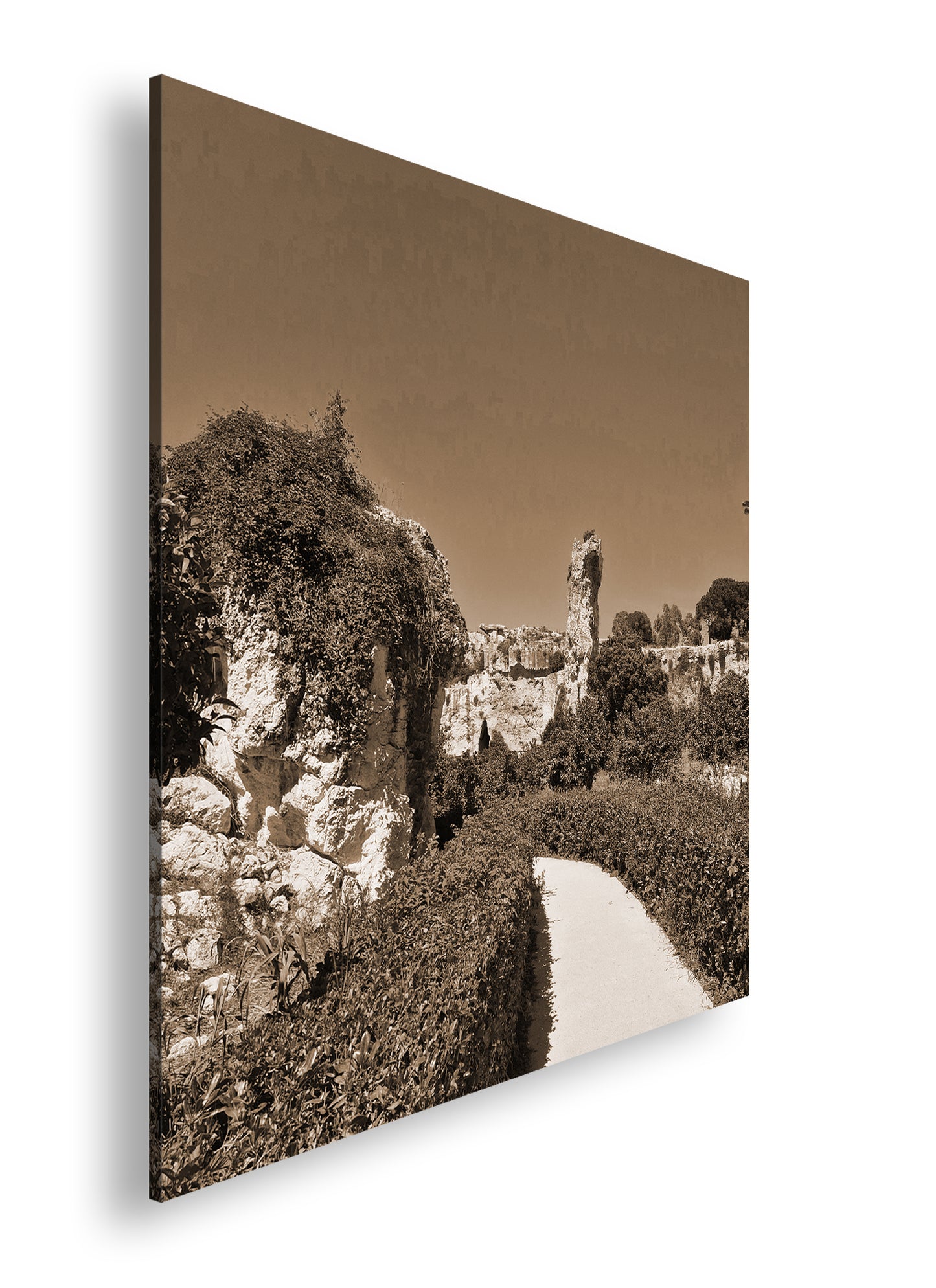 Hauptbild Sepia Quadratisch