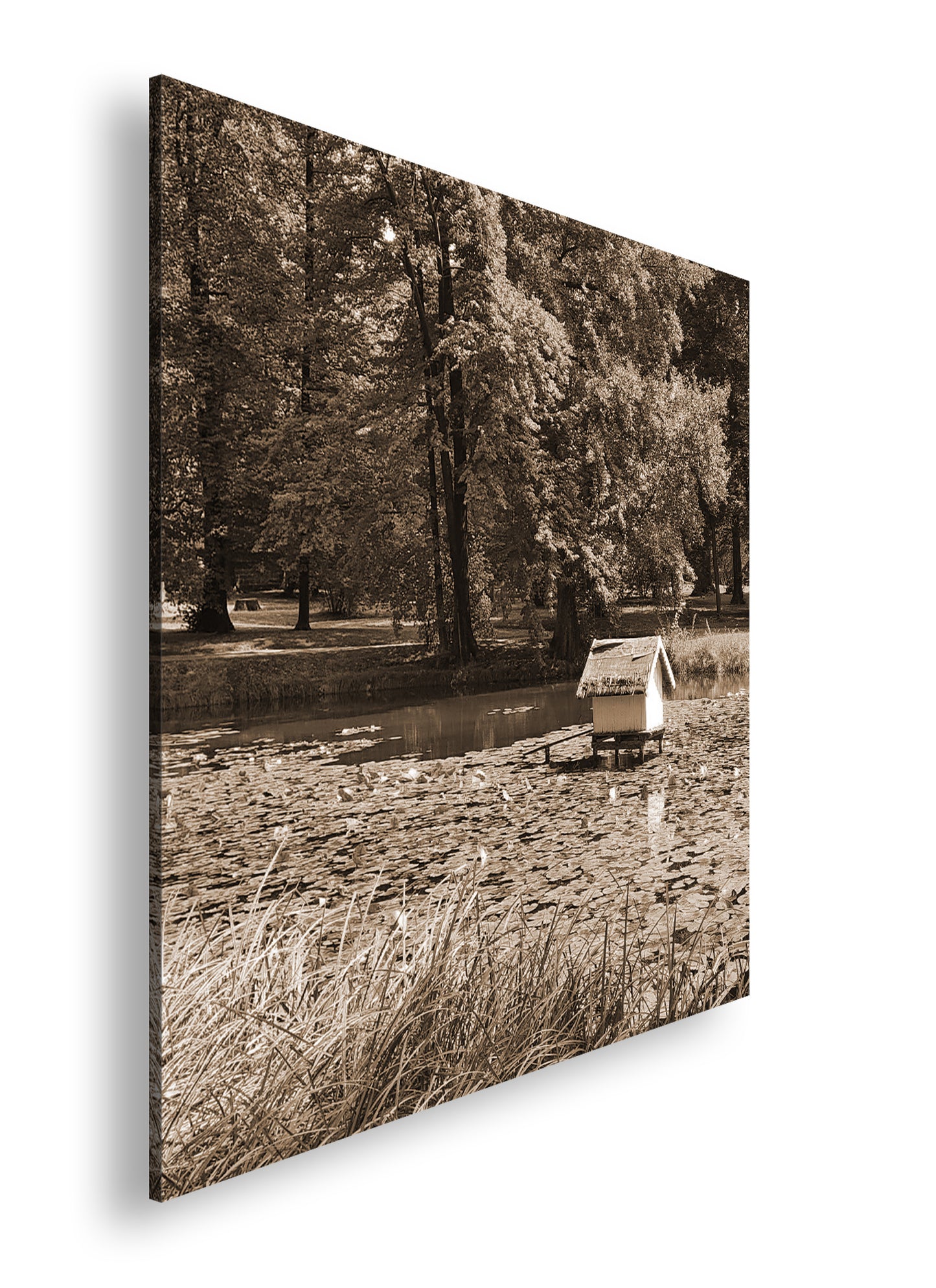 Hauptbild Sepia Quadratisch