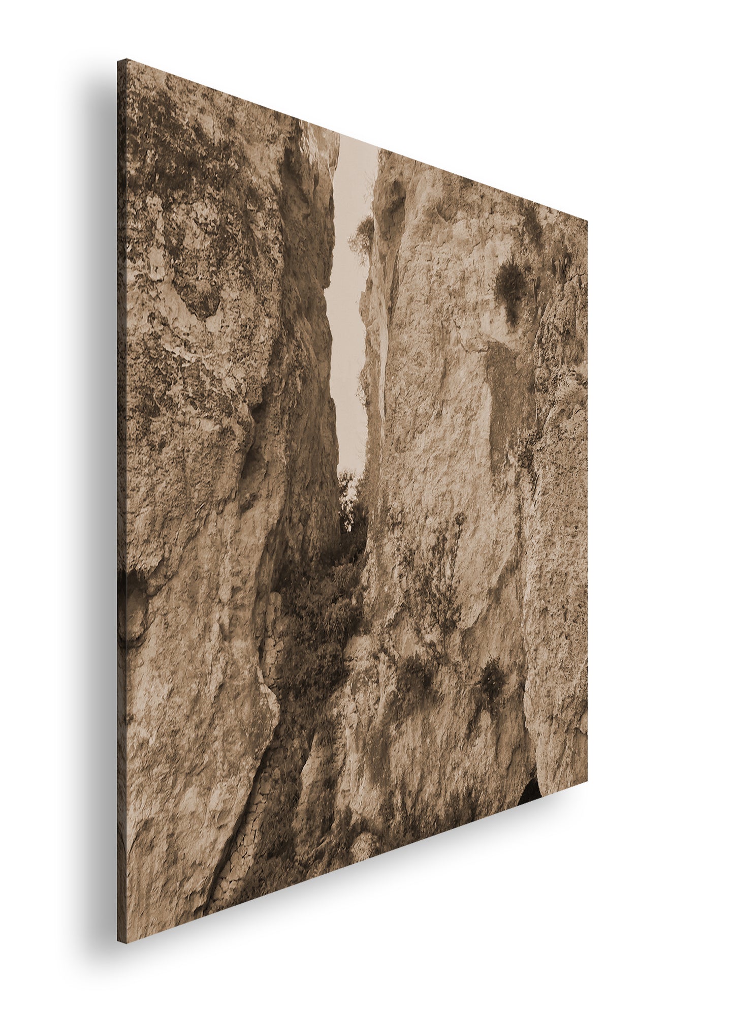 Hauptbild Sepia Quadratisch