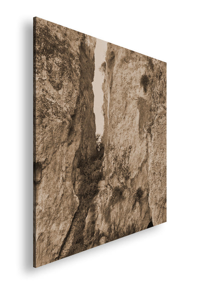 Hauptbild Sepia Quadratisch