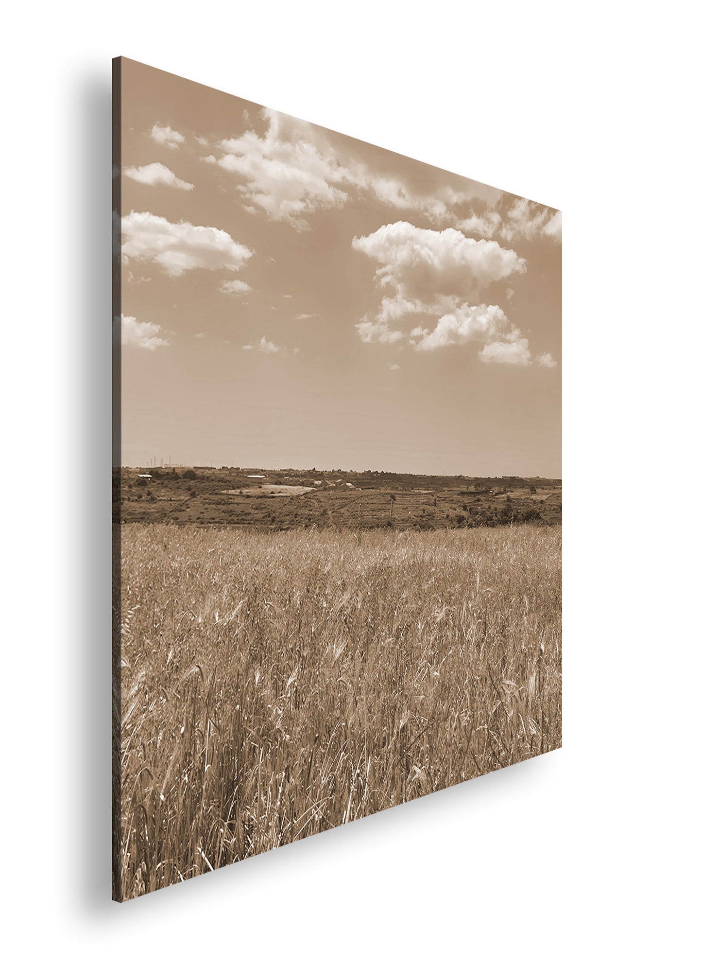 Hauptbild Sepia Quadratisch