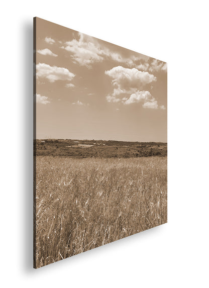 Hauptbild Sepia Quadratisch