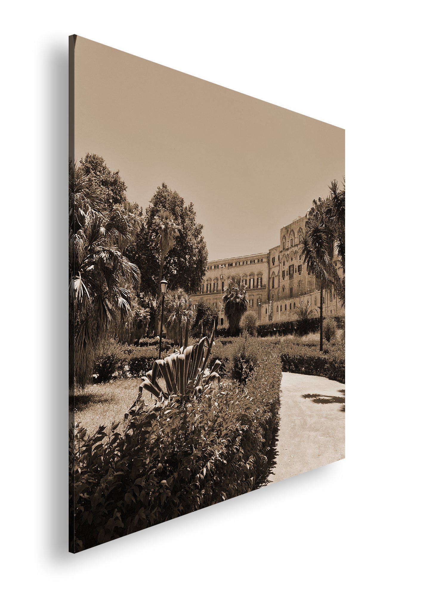 Hauptbild Sepia Quadratisch